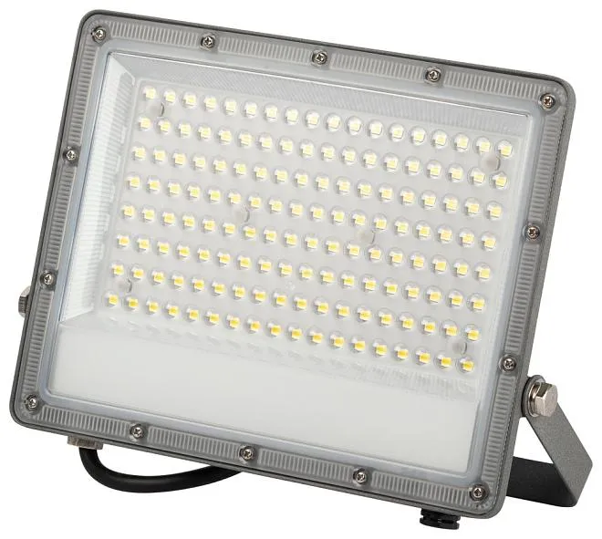 Прожектор уличный ЭРА LPR-063-0-65K-100