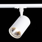 Трековый светильник ST Luce ST351.536.30.24 Cami