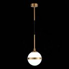 Подвесной светильник ST Luce SL1157.303.01 Arbe