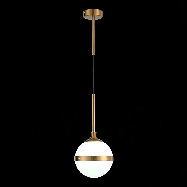 Подвесной светильник ST Luce SL1157.303.01 Arbe