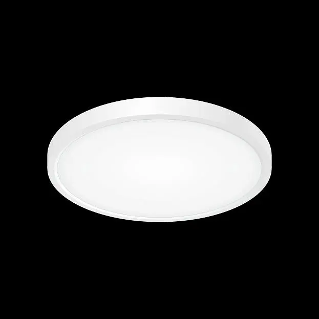 Накладной светильник Citilux CL738240V Бейсик