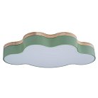 Потолочный светильник Loft It 10005/30 Green Axel