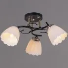 Потолочная люстра Reluce 10134-0.3-03 BK+FG