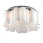 Потолочная люстра ST Luce SL116.502.06 Onde