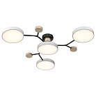 Потолочная люстра Velante 446-007-04