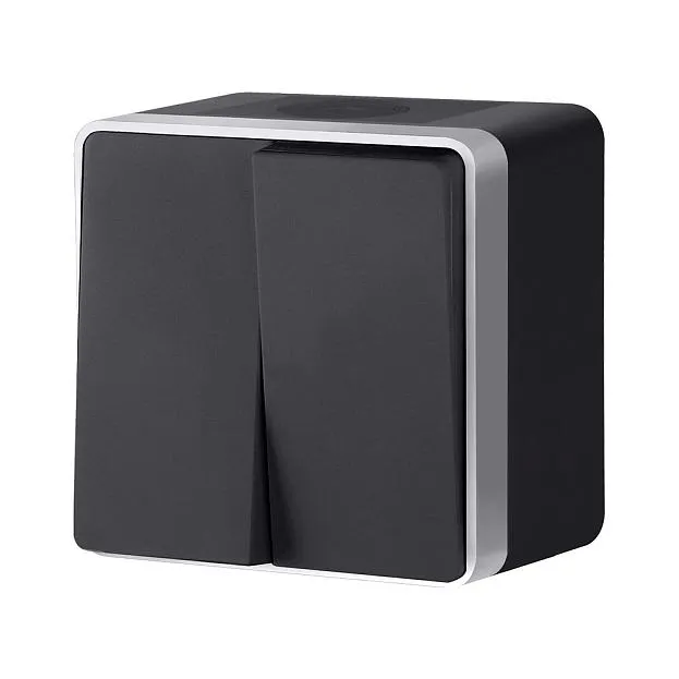 Выключатель двухклавишный влагозащищенный werkel w5020234 накладные механизмы gallant черный с серебром a051156