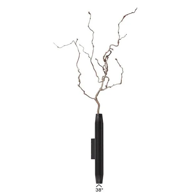 Бра Odeon light 7141/6WLA JUG