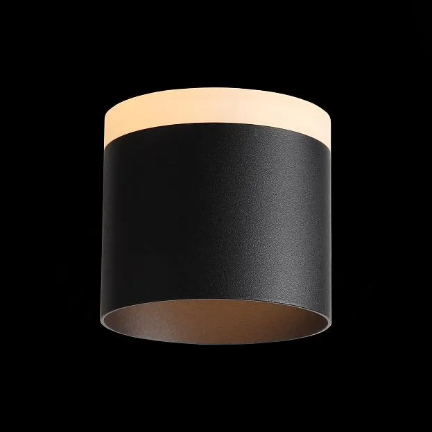 Потолочный светильник ST Luce ST102.402.12 Потолочный светильник ST Luce ST102.402.12