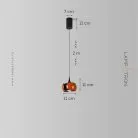 Подвесной светильник JUSI Цвет оранжевый+черный. С лифтом Lampatron 8599-23969