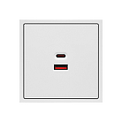 Зарядное устройство USB типа A+С LeDron USB Socket A+C 65W White