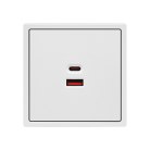 Зарядное устройство USB типа A+С LeDron USB Socket A+C 65W White