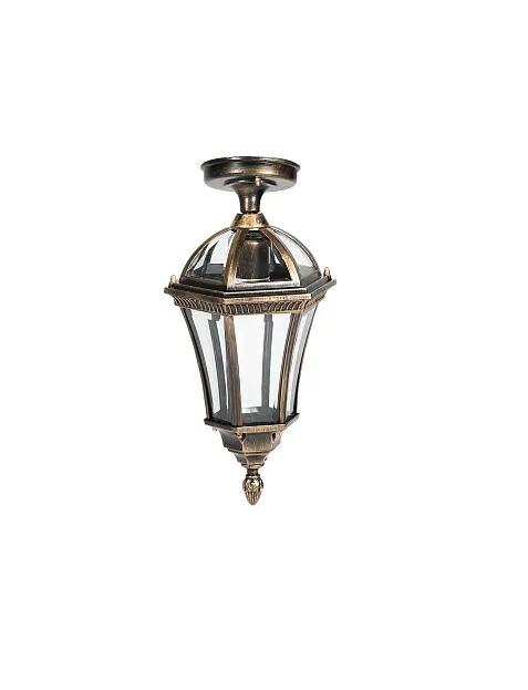 Потолочный светильник уличный Oasis Light 95205SA Gb ROMA S