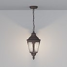 Уличный подвесной светильник Maytoni Outdoor O029PL-01BZ Goiri