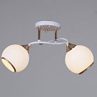 Потолочная люстра Reluce 06117-0.3-02 WH+FG