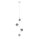 Подвесной светильник Loft IT 10212/4P White Sakura