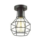 Потолочный свеетильник Lumion 3637/1C HARALD