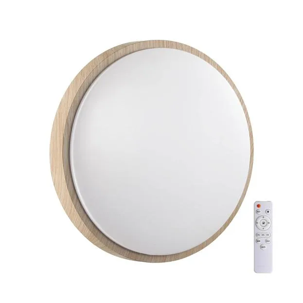 Настенно-потолочный светильник SONEX 7607/EL LOSTA