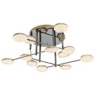 Потолочный светильник Escada 10240/12LED