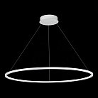 Светильник подвесной ST LUCE ST603.543.46 ST603 IN