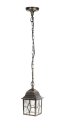 Уличный светильник подвесной Oasis Light 64305 Gb