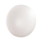 Настенно-потолочный светильник Sonex 3017/EL Simple