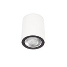 Накладной светильник LOFT IT 10344 White Rush