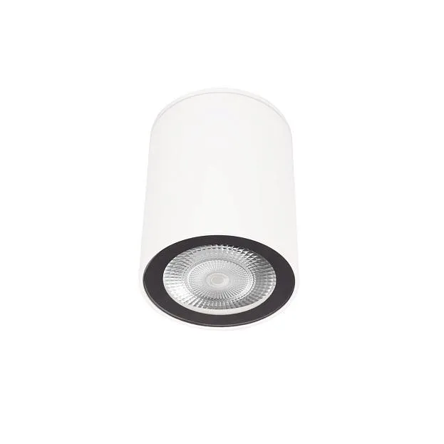 Накладной светильник LOFT IT 10344 White Rush