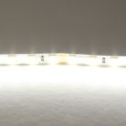 Лента холодного белого свечения 24V Lightstar 420505