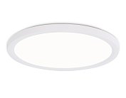 Потолочный светильник Ambrella light FZ1907