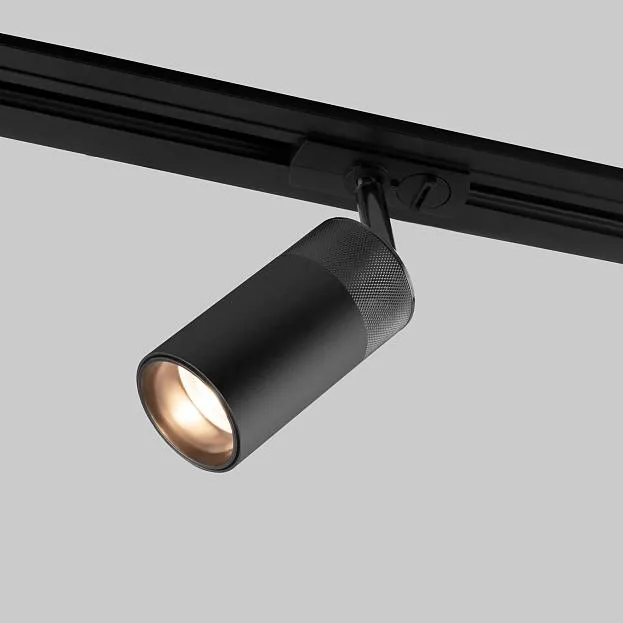 Трековый светильник Elektrostandard 85512/01 чёрный Riffe a061660