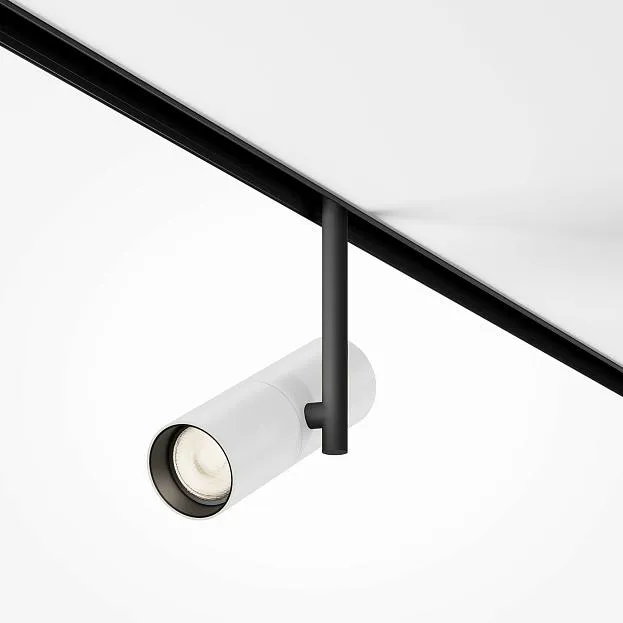 Трековый светильник Technical Maytoni TR005-2-12W3K-BW Elti