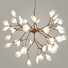 Подвесная Люстра Heracleum Gold By Imperiumloft 75283-22