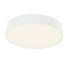 потолочный светильник F-Promo 4683-4C