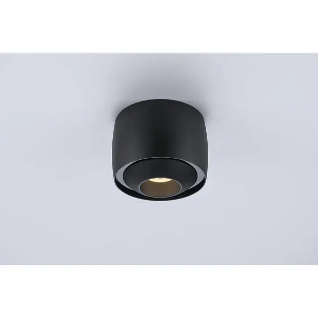 Потолочный светильник iLedex 300 BK Vision
