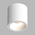 Накладной светодиодный светильник Ledron RINBOK TRIAC White