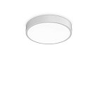 Потолочный светильник Ideal Lux 318264 Ray