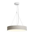 Подвесной светильник Freya FR5555PL-L30BGG Ruler