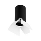 Потолочный светильник Lightstar R437436 Rullo