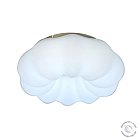 Потолочный светильник с пультом ZORTES ZRS.1118.2 SOFT