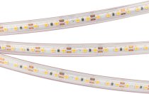 Светодиодная лента Arlight 022319(2) A120 PS