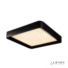 Потолочная люстра iLedex WL X8839-500X500 BK Stardust