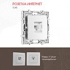 Розетка интернет, RJ45 Arte Milano 217.45-1.silver am