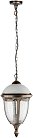 Уличный светильник подвесной Oasis Light 89105L Gb мат тр St.LOUIS L