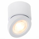 Потолочный светильник ST Luce ST654.532.10