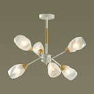 Люстра потолочная E14 6*40W Lumion 5210/6C KENDRA