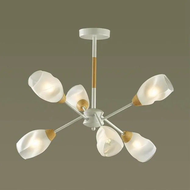 Люстра потолочная E14 6*40W Lumion 5210/6C KENDRA Люстра потолочная E14 6*40W Lumion 5210/6C KENDRA