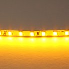 Лента цветного свечения 24V, янтарный Lightstar 420510