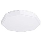 Потолочный светильник Arte Lamp A2659PL-1WH Kant