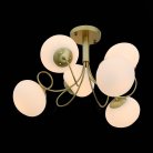 Люстра потолочная EVOLUCE SL717.202.06 ACINI