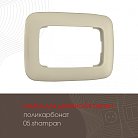 Рамка из поликарбоната для двойной розетки Arte Milano 505.05-double.shampan am
